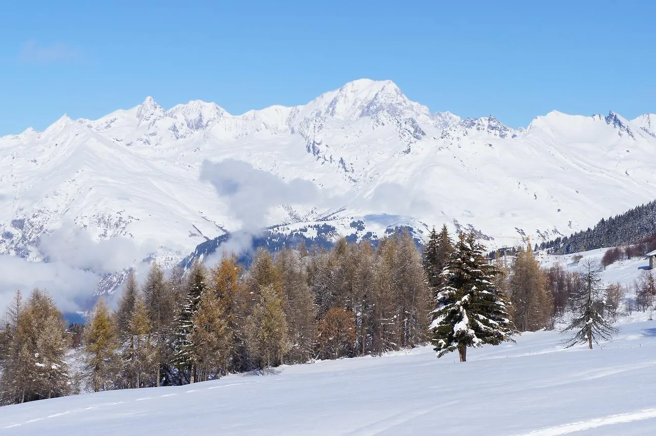 Chalet Les Amis Villa Peisey-Nancroix